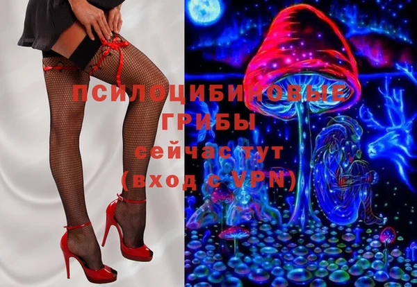 mdma Бородино